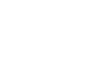 Logo Lion Clean Blanco Sin Fondo